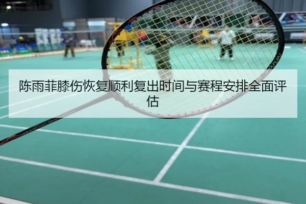 陈雨菲膝伤恢复顺利复出时间与赛程安排全面评估